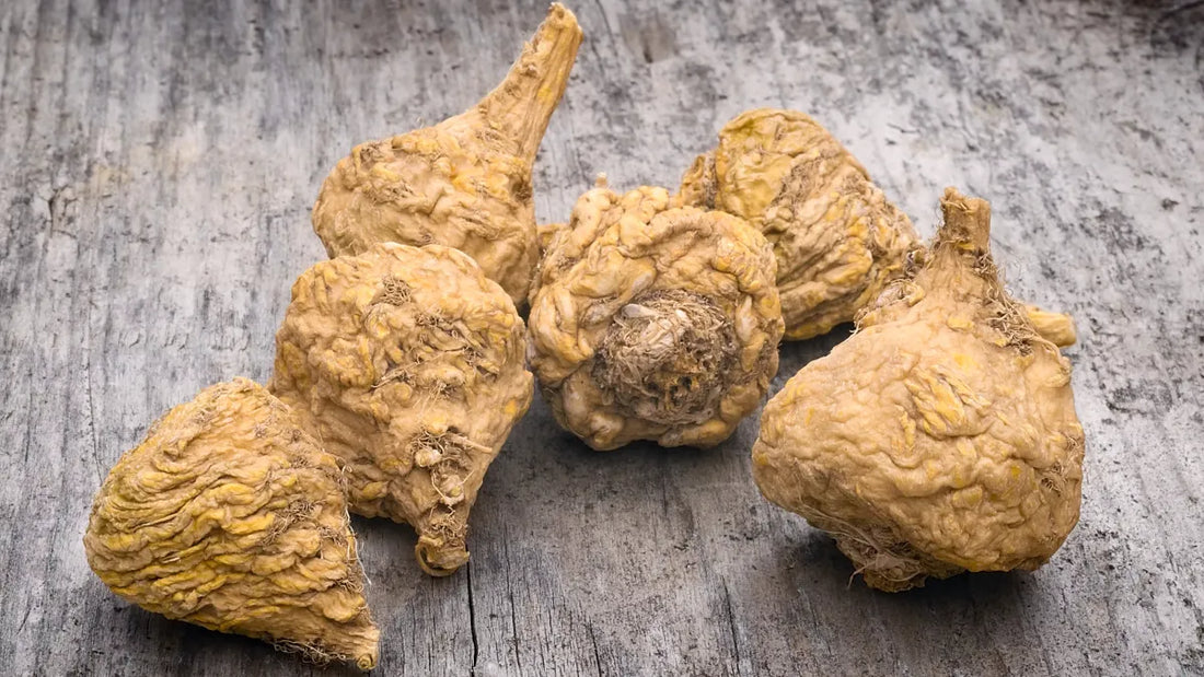 maca - racine aphrodisiaque