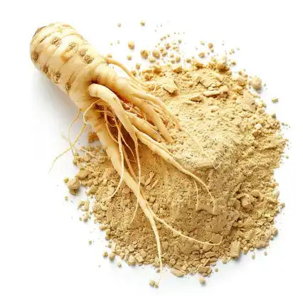 Racine de ginseng frais avec ginseng en poudre.