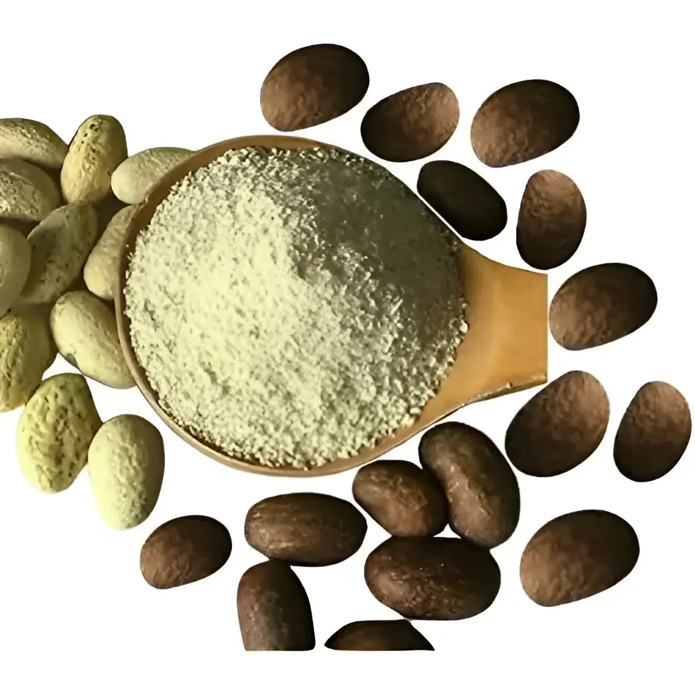 Poudre de Petit Cola – Énergie Naturelle et Endurance