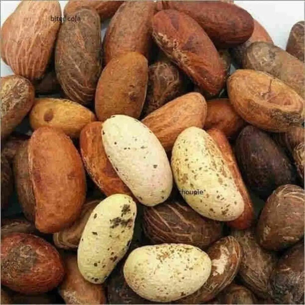 Poudre de Petit Cola – Énergie Naturelle et Endurance