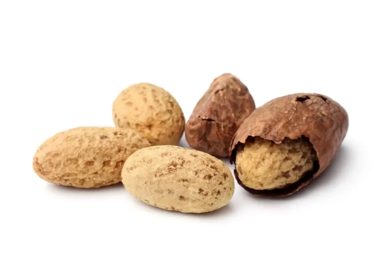 Noix de kola naturelle - energie et vitalite