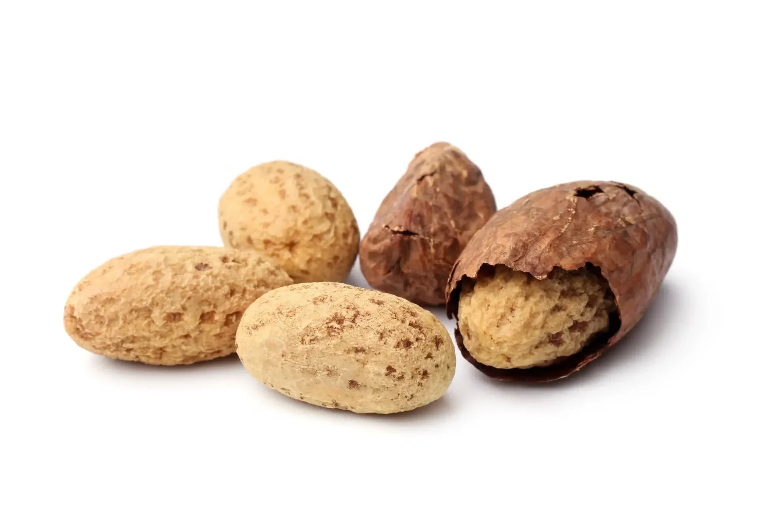 Noix de kola naturelle - energie et vitalite